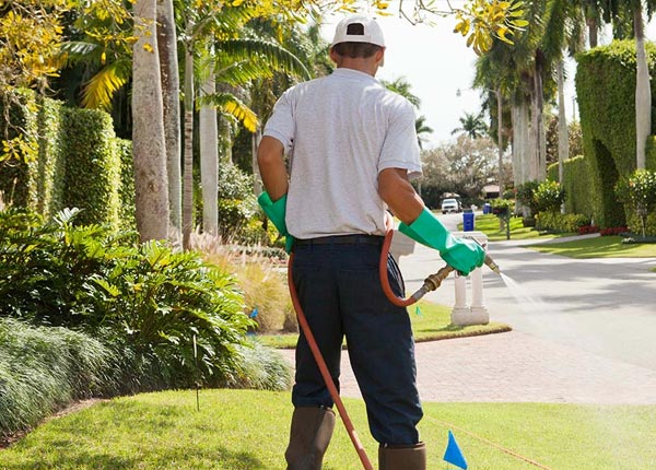 About Bunkie LA Pest Control